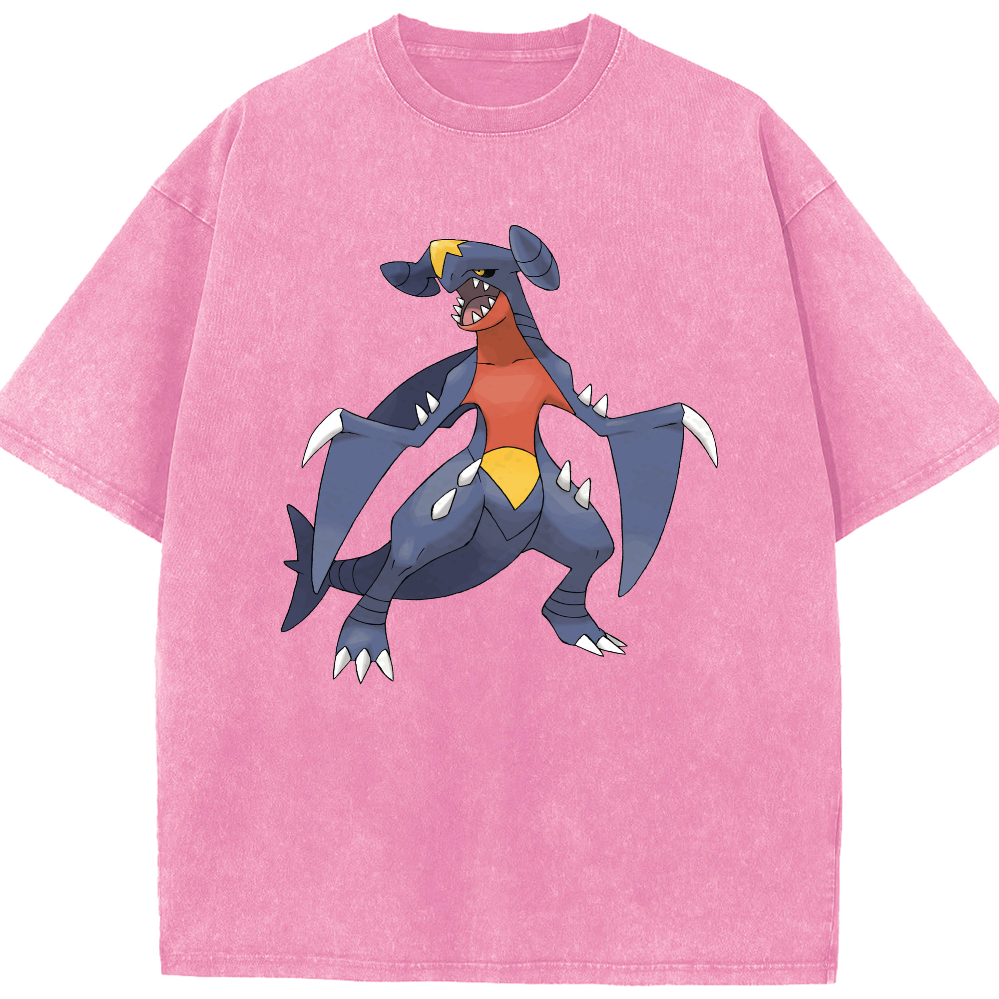 （画像用） ポケットモンスター Pokémon 綿100% ヴィンテージ風 半袖Tシャツ（フロントプリント）